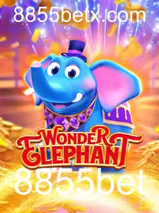 Explorando WonderElephant: Um Mergulho no Universo Fascinante do Jogo